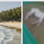 വ്യവസായിയിൽ നിന്ന് 16 കോടി രൂപ തട്ടിയെടുത്തു; ചലച്ചിത്ര നിർമാതാവ് രവീന്ദർ അറസ്റ്റിൽ