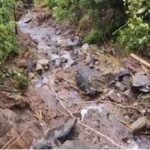 മലയാള സിനിമയുടെ കാരണവര്‍ മധുവിന് ഇന്ന് നവതി: വിസ്മയകരമായ ആറുപതിറ്റാണ്ടിന്റെ സിനിമാ ജീവിതത്തെ മലയാളികള്‍ ആദരിക്കുകയാണ്