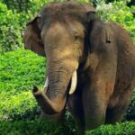 വനിത സംവരണ ബില്ല്; ലോക്സഭയിൽ ഇന്ന് സോണിയ ഗാന്ധിയും, സ്മൃതി ഇറാനിയും ആദ്യം ചർച്ചയിൽ പങ്കെടുക്കും