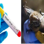 യാത്രക്കാരുടെ പ്രത്യേക ശ്രദ്ധയ്ക്ക്.. പുതിയ വന്ദേ ഭാരതിന്റെ സമയ ക്രമം പുറത്തു വിട്ടു