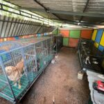 നിരീക്ഷണ ക്യാമറയില്‍ കുടുങ്ങി പുലി;മൂങ്കലാറില്‍ കൂടൊരുക്കി വനംവകുപ്പ്