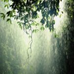 മാത്യു കുഴൽനാടനെതിരായ വിജിലൻസ് അന്വേഷണം പിണറായിയുടെ രാഷ്ട്രീയ പകപോക്കൽ; വി ഡി സതീശൻ