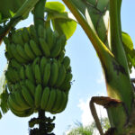 വാർത്ത റിപ്പോർട്ടിങ്ങിന്‍റെ പേരിൽ ഉള്ള വർഗീയ ധ്രുവീകരണം അവസാനിപ്പിക്കണം