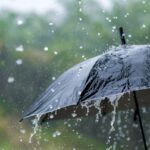 സംഭരിച്ച നെല്ലിന്‍റെ വില കർഷകർക്ക് നൽകിയില്ല; സർക്കാരിനെതിരെ സ്വരം കടുപ്പിച്ച് ഹൈക്കോടതി