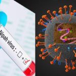 ക്വട്ടേഷൻ സംഘം അറസ്റ്റിൽ : അറസ്റ്റ് കരിപ്പൂർ സ്വർണ്ണ കവർച്ച കേസിലെ മുഖ്യ പ്രതിയുടെ കൂട്ടാളിയെ തട്ടികൊണ്ട് പോയ കേസിൽ