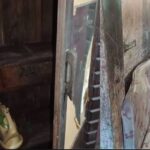 സ്ത്രീകളുടെയും കുട്ടികളുടെയും പ്രശ്നങ്ങൾക്ക് പരിഹാരം കാണുന്നതിൽ വനിതാ പോലീസിന്റെ പ്രവർത്തനം മാതൃകാപരം: അഡ്വ. പി സതീദേവി