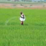 അമ്മയ്ക്ക് സർപ്രൈസ് ഗിഫ്റ്റ് ; രാഹുൽ ഗാന്ധിയുടെ വീഡിയോ വൈറൽ