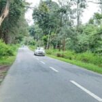 അംഗൻവാടിയിൽ നിന്ന് ഹെൽപ്പർക്ക് പാമ്പുകടിയേറ്റു