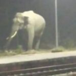 ബെംഗളൂരുവിൽ വൻ അഗ്നിബാധ; ബസ് ഡിപ്പോയിലുണ്ടായ തീപിടിത്തത്തിൽ 40 ലധികം ബസുകൾ കത്തിനശിച്ചു