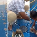 ലൈറ്റും സൗണ്ടും തരുന്നവർ പരിപാടി ​ഗംഭീരമാക്കാൻ ശ്രമിക്കും, വിവരമില്ലാത്ത ചിലർ ക്ഷോഭിയ്ക്കും ; ഫാദർ ജോസഫ് പുത്തൻ പുരയ്ക്കൽ