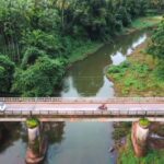 കേരളനിയമസഭാ അന്താരാഷ്ട്ര പുസ്തകോത്സവം രണ്ടാം പതിപ്പ് ;മീഡിയാ സെല്‍ ഉദ്ഘാടനം ചെയ്ത് സ്പീക്കര്‍  എ.എന്‍. ഷംസീര്‍