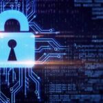 തെരുവുനായ കേസ്:കേരളത്തിലെ നാല് കോർപറേഷനുകളെ സുപ്രീംകോടതി ഒഴിവാക്കി