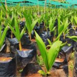 നിയമസഭാ സാമാജികർക്കെതിരെ കെട്ടിക്കിടക്കുന്ന കേസിൽ കാലതാമസം പാടില്ല; സുപ്രീം കോടതി