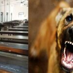 നിപ ബാധിച്ച ഒൻപത് വയസുകാരന്റെ ചികിത്സാ വിജയം പഠിക്കാൻ ജപ്പാനിൽ നിന്നുള്ള മെഡിക്കൽ സംഘം കോഴിക്കോട്