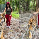 സംസ്ഥാന ബജറ്റ് നേരത്തെയാക്കും: ജനുവരിയിൽ അവതരിപ്പിക്കാൻ തിരക്കിട്ട നീക്കവുമായി സർക്കാർ