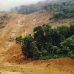 കളമശ്ശേരി സ്‌ഫോടനത്തിൽ മരണം നാലായി: പൊള്ളലേറ്റ് ചികിത്സയിലായിരുന്ന സ്ത്രീ മരിച്ചു