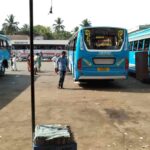 ഇനി ഒന്നും പേടിക്കാനില്ല,കുന്ദമം​ഗലം പോലീസ് സ്റ്റേഷനിലാണ് താമസം: കൗതുകമായി ബുൾ ബുൾ പക്ഷികൾ