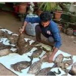 മകളെ കൊന്ന അച്ഛന് ജീവപര്യന്തരം ശിക്ഷ വിധിച്ച് കോടതി