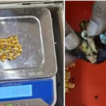 ജിമ്മില്‍ അതിക്രമിച്ചു കയറി; ട്രെയിനറെ തോക്കു ചൂണ്ടി ഭീഷണിപ്പെടുത്തി; അച്ഛനും മക്കളും പിടിയില്‍