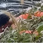 ഡൊണാള്‍ഡ് ട്രംപിന് വീണ്ടും തിരിച്ചടി; 2024ലെ തെരഞ്ഞെടുപ്പില്‍ മത്സരിക്കുന്നതിന് വിലക്കേര്‍പ്പെടുത്തി മെയ്ന്‍ സ്റ്റേറ്റ്