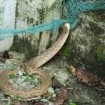 ബേപ്പൂർ അന്താരാഷ്ട്ര വാട്ടർ ഫെസ്റ്റ് ഡിസംബർ 26 മുതൽ 29 വരെ; സംഘാടകസമിതി യോഗം ചേർന്നു