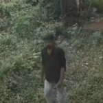 മുല്ലപ്പെരിയാർ ഇന്ന് തുറക്കില്ല:അണക്കട്ടിലേക്കുള്ള നീരൊഴുക്ക് കുറഞ്ഞു