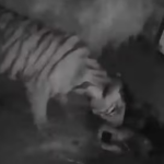 ആശുപത്രിയിൽ ചികിത്സക്കെത്തിയ 10 വയസുകാരിക്ക് നേരെ ലൈംഗികാതിക്രമം; പ്രതിയെ പിടികൂടി നാട്ടുകാർ