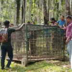 ക്രിസ്മസ് പുതുവത്സര സമ്മാനമായി ഫ്‌ളോട്ടിങ് ബ്രിഡ്ജ് :തിരുവനന്തപുരം ജില്ലയിലെ ആദ്യ ഫ്‌ളോട്ടിങ് ബ്രിഡ്ജ് വർക്കലയിൽ