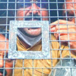 വയനാട്ടില്‍ അയ്യപ്പ ഭക്തര്‍ സഞ്ചരിച്ച വാഹനത്തിന് നേരെ കാട്ടാനയുടെ ആക്രമണം; കുട്ടികള്‍ ഉള്‍പ്പെടെയുള്ളവര്‍ക്ക് പരുക്കേറ്റു; ആക്രമണത്തില്‍ ബസിന്റെ മുന്‍ഭാഗം തകര്‍ന്നു