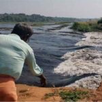 കോളിഫ്ളവര്‍ മോഷ്ടിച്ചതിന് അമ്മയെ മകന്‍ വൈദ്യുതത്തൂണില്‍ കെട്ടിയിട്ട് മര്‍ദിച്ചു; യുവാവ് പിടിയില്‍; മകന്റെ ക്രൂരകൃത്യത്തിന്റെ വീഡിയോ വൈറല്‍