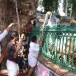 മാതാപിതാക്കളെ മകന്‍ വെട്ടിക്കൊലപ്പെടുത്തി; പ്രതി ഒളിവില്‍