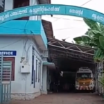 വയനാട്ടിലെ നരഭോജി കടുവ കൂട്ടില്‍; കാപ്പി തോട്ടത്തില്‍ വച്ച കൂട്ടില്ലാണ് കുടുങ്ങിയത്