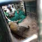 ‘നിരവധി തവണ അധികൃതരെ സമീപിച്ചെങ്കിലും സാങ്കേതിക കാരണങ്ങൾ പറഞ്ഞ് അപേക്ഷ നിരസിച്ചു’: വീഴാറായ കൂരയിൽ ഭീതിയോടെ മൂന്നം​ഗ കുടുംബം