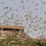 സര്‍ക്കാര്‍ ഉദ്യോഗസ്ഥന്റെ വീട്ടില്‍ നിന്ന് 100 കോടിയുടെ സ്വത്ത് പിടികൂടി