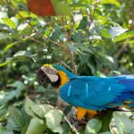 എഴുപത്തിയഞ്ചാമത് റിപ്പബ്ലിക്ക് ദിനാഘോഷങ്ങളുടെ നിറവിൽ രാജ്യം