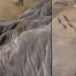 ഒമ്പതാം ക്ലാസ് വിദ്യാര്‍ത്ഥിനി പ്രസവിച്ചു; പത്താം ക്ലാസ് വിദ്യാര്‍ത്ഥിക്കായി തെരച്ചില്‍ ഊര്‍ജിതം