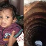 ഇന്‍ഡിഗോ വിമാനത്തില്‍ വിളമ്പിയ സാന്‍ഡ്‍വിച്ചില്‍ നിന്ന് ജീവനുള്ള പുഴുവിനെ കണ്ടെത്തിയ സംഭവം; ഇടപെട്ട് ഫുഡ് സേഫ്റ്റി ആൻഡ് സ്റ്റാൻഡേർഡ് അതോറിറ്റി ഓഫ് ഇന്ത്യ