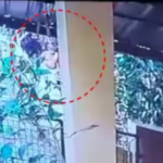 കല്ലറയില്‍ ദമ്പതികളെ തൂങ്ങി മരിച്ച നിലയില്‍; മൃതദേഹം കണ്ടത് അയല്‍വാസികള്‍