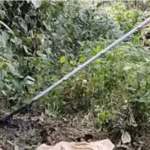 കേരളത്തിൽ അരിവില വീണ്ടും കുതിച്ചുയരുന്നു! എട്ട് രൂപയോളം കൂടി