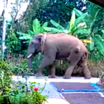 ഭൂമി തരംമാറ്റൽ: കോഴിക്കോട് റവന്യൂ ഡിവിഷൻ ഓഫീസ് പരിധിയിൽ തീർപ്പാക്കിയത് 1254 അപേക്ഷകൾ