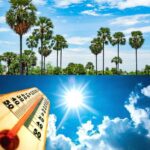 പെന്‍ഷന്‍ കിട്ടാത്തതില്‍ റോഡില്‍ കസേരയിട്ട് പ്രതിഷേധിച്ച് 90 കാരി; സഹായവുമായി കോണ്‍ഗ്രസ്