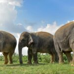 രാജ്യത്തെ ജനങ്ങളെ ഭിന്നിപ്പിക്കാനും പകയും വിദ്വേഷവും പടർത്തുവാനും ശ്രമിക്കുന്നു;സൗഹൃദ സംഗമവുമായി ജമാഅത്തെ ഇസ്ലാമി