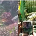 കോൺഗ്രസ് മുൻ അധ്യക്ഷ സോണിയ ഗാന്ധി ഇന്ന് രാജ്യസഭയിലേക്ക് പത്രിക നൽകും