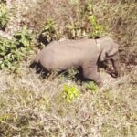 നവീകരിച്ച കാരന്തൂര്‍ മഹല്ല് ജുമാമസ്ജിദ് ഉദ്ഘാടനം ഫെബ്രുവരി 18ന്