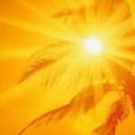 തെല്ലും കുറ്റബോധമില്ല:ടി പി ചന്ദ്രശേഖരൻ വധക്കേസിൽ കെ സി രാമചന്ദ്രനെതിരെ ജയിലധികൃതരുടെ റിപ്പോർട്ട്