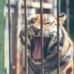 വന്ദേഭാരത് ട്രെയിനില്‍ വാതകച്ചോര്‍ച്ച; പുക ഉയരുന്നത് കണ്ട് ആലുവയില്‍ ട്രെയിന്‍ നിര്‍ത്തിയിട്ട് യാത്രക്കാരെ ഒഴിപ്പിച്ചു