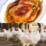 ളോഹ പരാമര്‍ശം; ബിജെപി വയനാട് ജില്ലാ പ്രസിഡന്റ് കെ പി മധുവിനെ മാറ്റി