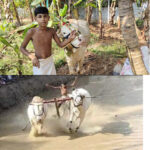 പഴയ കാല മുസ്ലിം ലീഗ് പ്രവര്‍ത്തകന്‍ ആനിക്കാട്ടൂമ്മല്‍ എ സി മജീദ് (66) നിര്യാതനായി; മയ്യത്ത് നിസ്‌കാരം രാവിലെ 10 മണിക്ക് ചൂലംവയല്‍ ജുമാ മസ്ജിദില്‍.