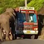 ടിപി ചന്ദ്രശേഖരൻ വധക്കേസ്: വധശിക്ഷ നൽകാതിരിക്കാൻ പ്രതികളോട് കാരണം തേടി  കോടതി