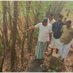 ചൂട് കൂടുന്നു, ഒപ്പം ചിക്കന്റെ വിലയും; ഒരു മാസത്തിനിടെ കൂടിയത് 50 രൂപയിലധികം